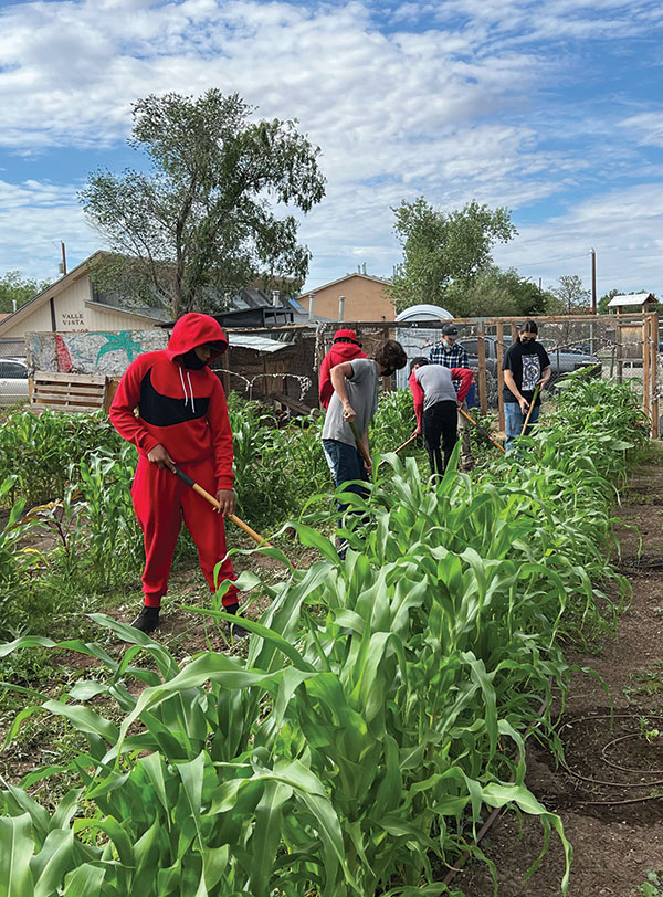 Southwest Organizing Project volunteers tending to a community garden in the South Valley